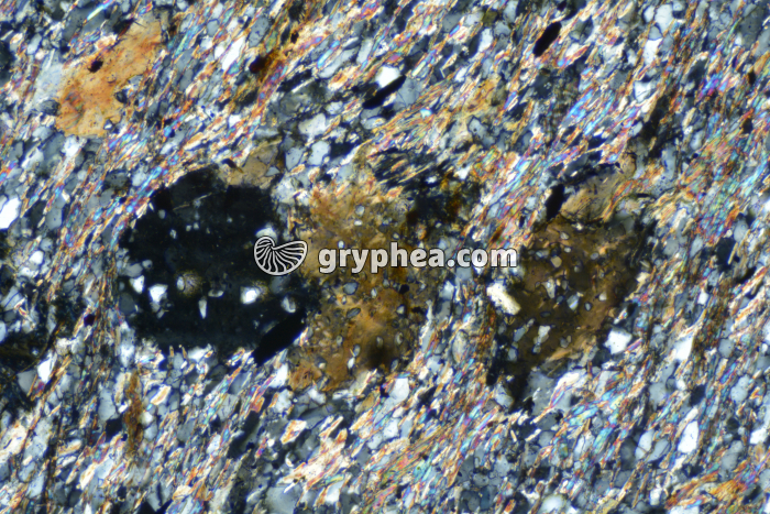 Micaschiste à cordiérite LPA x40 - gryphea.com